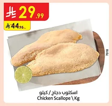 اسكلوب دجاج