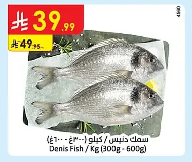 Denis Fish / Kg (300g - 600g)