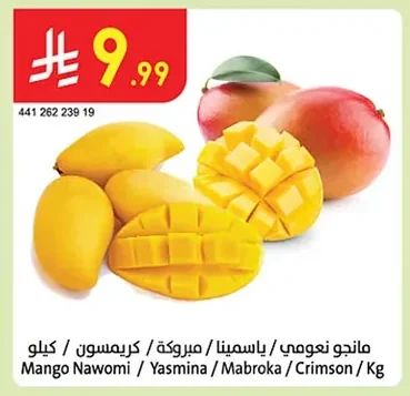 Mango Nawomi / Yasmina / Mabroka / Crimson / Kg
