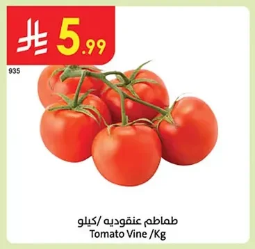 Tomato Vine / Kg