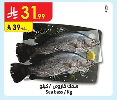 Sea bass