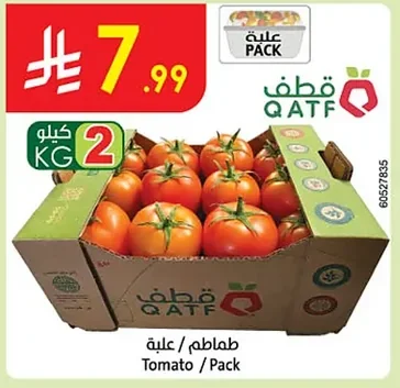 طماطم