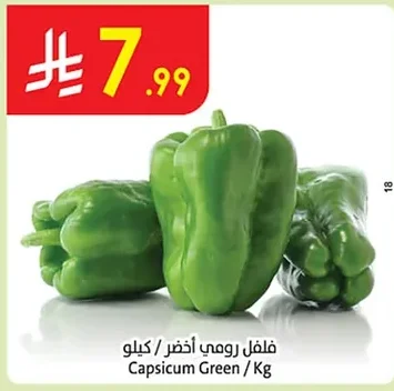 فلفل رومي أخضر