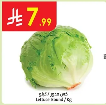 Lettuce Round