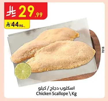 اسكلوب دجاج