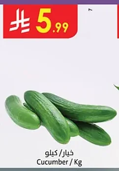 Cucumber