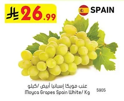 عنب مويكا إسبانيا أبيض