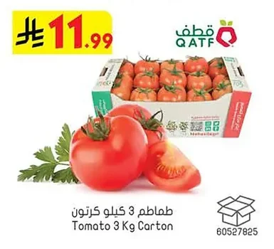طماطم