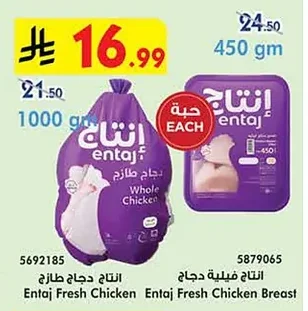 انتاج دجاج طازج