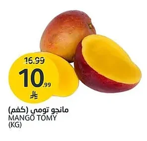 MANGO TOMY