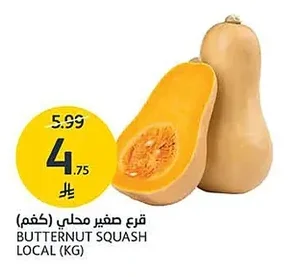 قرع صغير محلي
