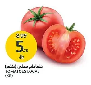 TOMATOES LOCAL