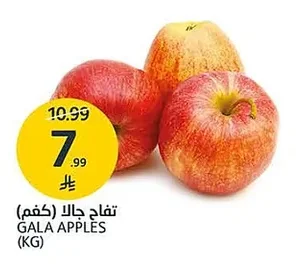 GALA APPLES