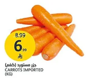 CARROTS IMPORTED (KG)