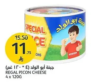 جبنة أبو الولد (٤ × ١٢٠ جم)