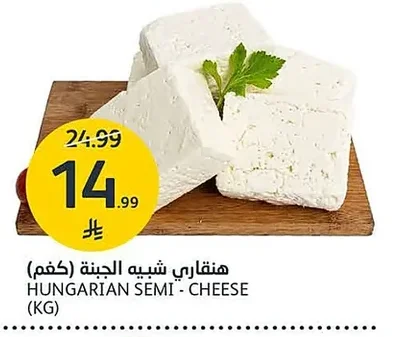 HUNGARIAN SEMI - CHEESE