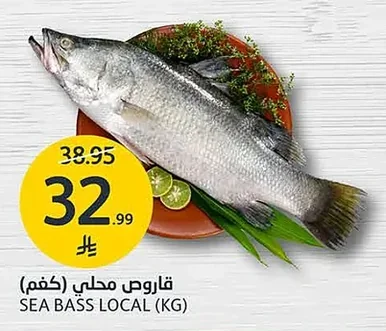 SEA BASS LOCAL