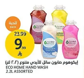 Liquid Hand Soap (Assorted)