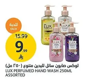 Liquid Hand Soap Assorted