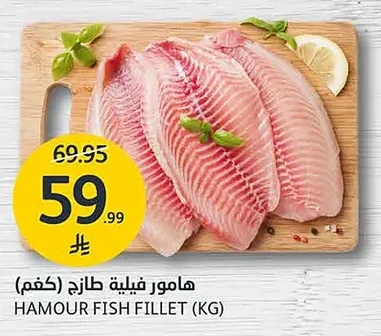 HAMOUR FISH FILLET