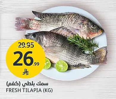 FRESH TILAPIA