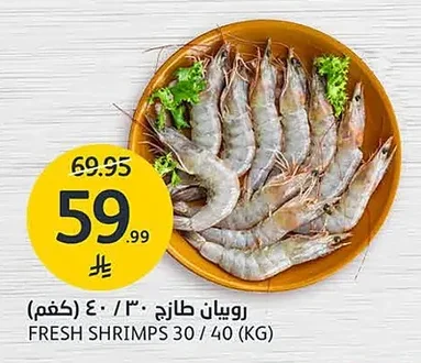 FRESH SHRIMPS