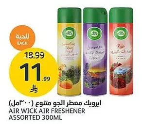 Air Freshener Assorted