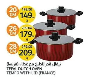 Cooking Pot with Lid