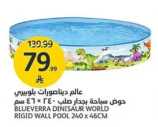 حوض سباحة بجدار صلب