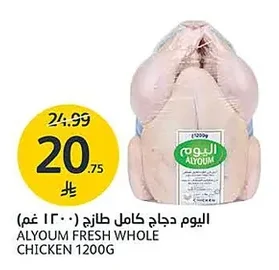 Alyoum Whole Fresh Chicken