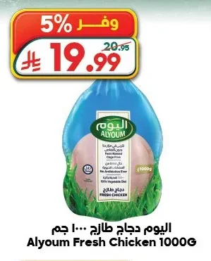 اليوم دجاج طازج