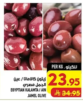 زيتون كالاماتا / عين الجمل مصري