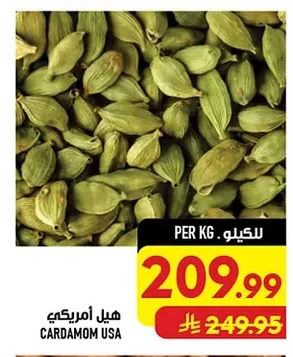 هيل امريكي