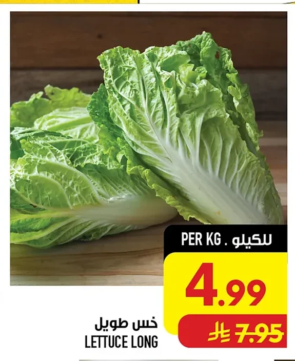 خس طويل
