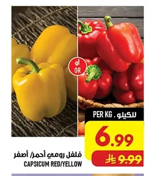 فلفل رومي أحمر/ أصفر