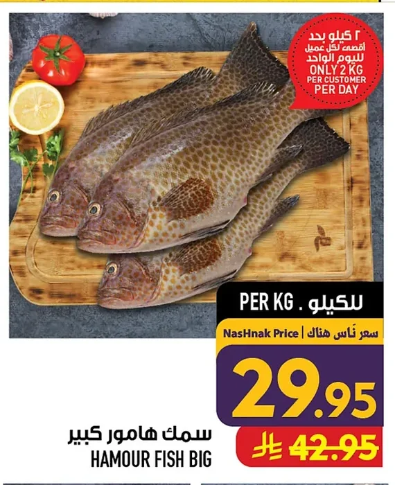 HAMOUR FISH BIG