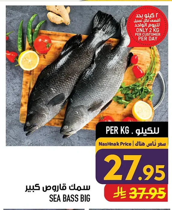SEA BASS BIG