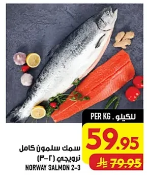 NORWAY SALMON 2-3