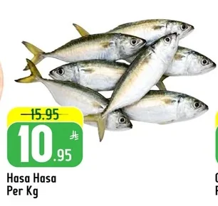 Hasa Hasa Per Kg