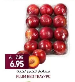 PLUM RED TRAY/PC
