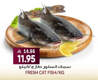 FRESH CAT FISH/KG
