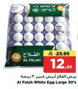White Egg Large 30's