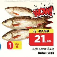 Rohu (Big)
