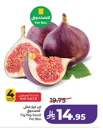 تين كبير