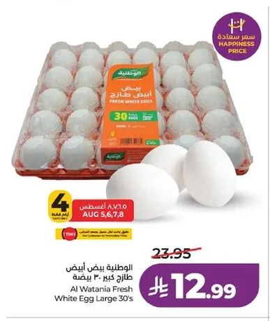 الوطنية بيض أبيض طازج كبير