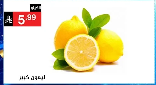 Large Lemon