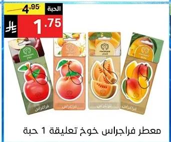Car Air Freshener