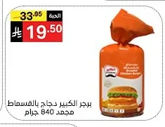 Big Burger Chicken Breaded Frozen