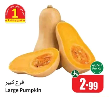 قرع كبير
