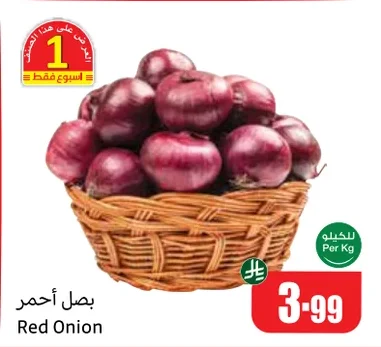 بصل أحمر
